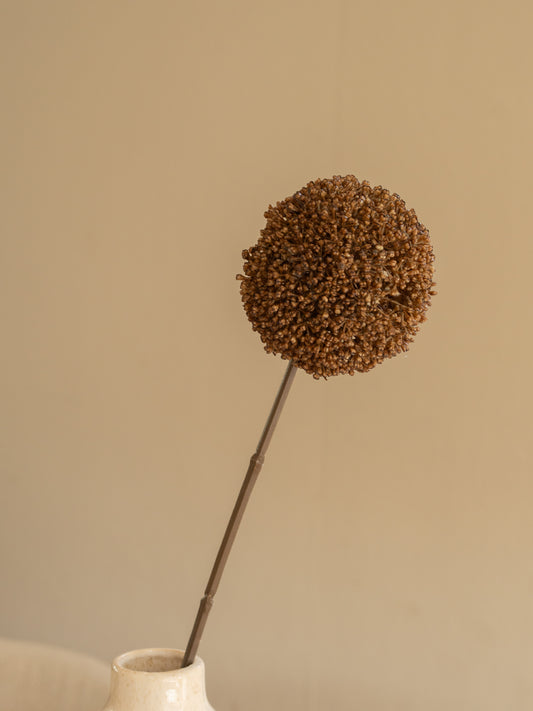 zijden bloem allium bruin