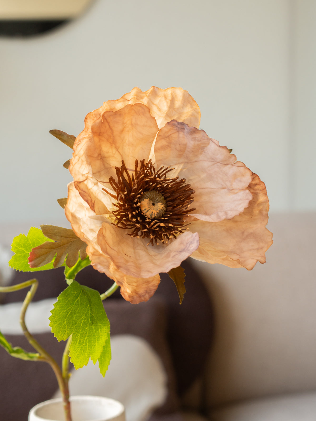 Zijden bloem | Papaver | Bruin