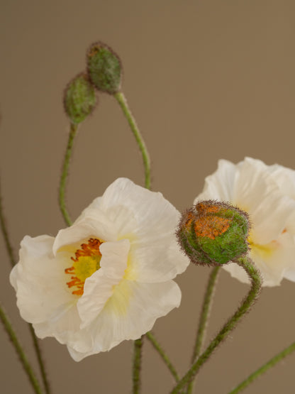zijden bloemen papaver