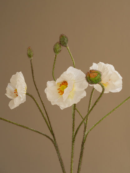 zijden bloemen papaver