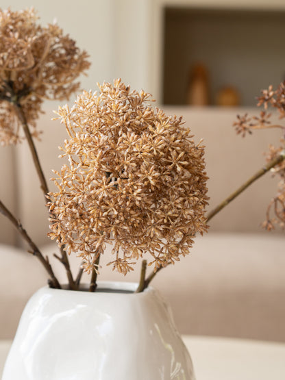 Zijden bloem | Trachelium | Beige/bruin | 65 cm